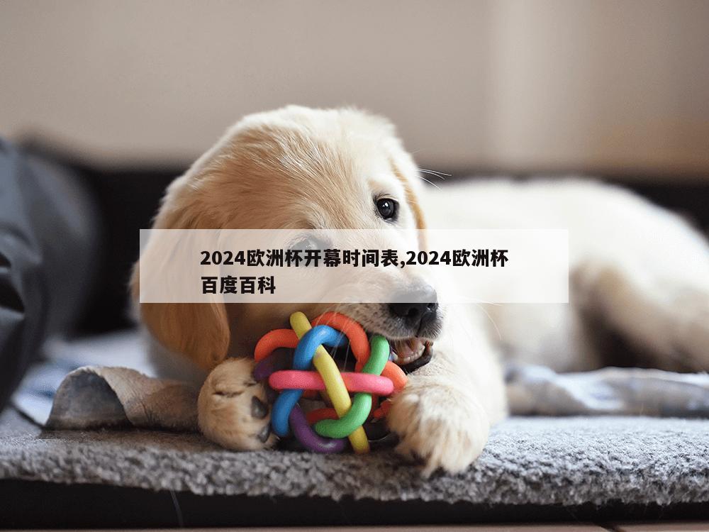 2024欧洲杯开幕时间表,2024欧洲杯百度百科