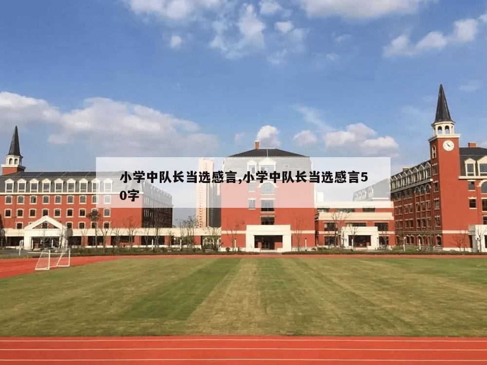 小学中队长当选感言,小学中队长当选感言50字