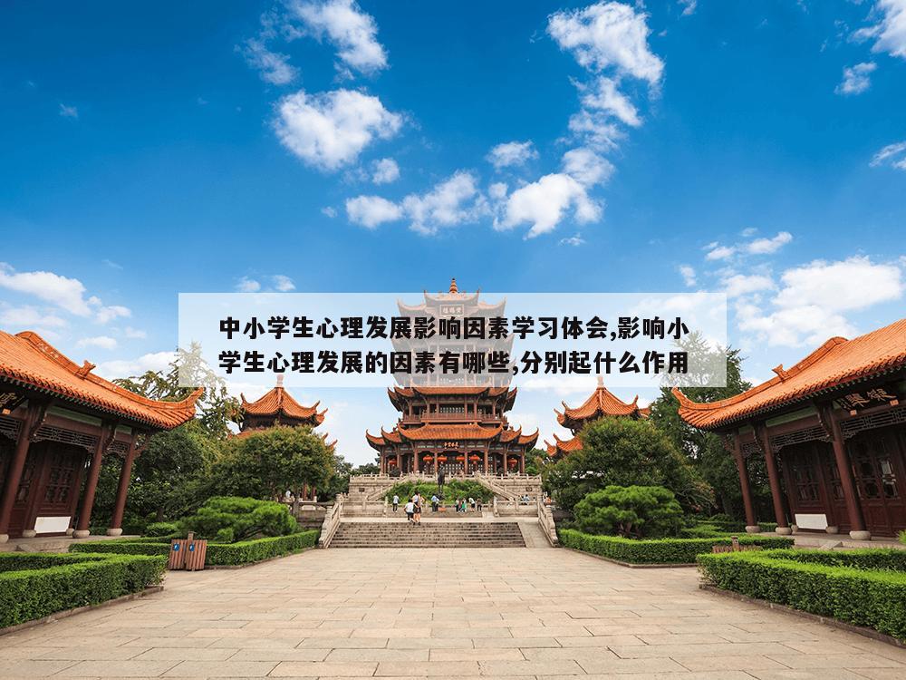 中小学生心理发展影响因素学习体会,影响小学生心理发展的因素有哪些,分别起什么作用