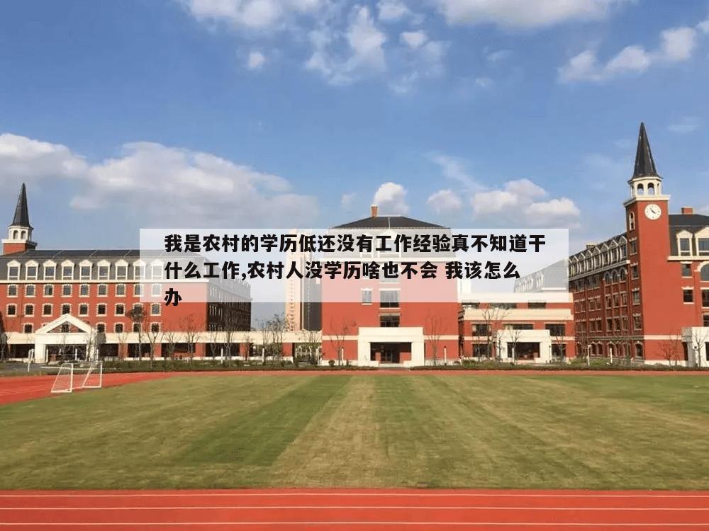 我是农村的学历低还没有工作经验真不知道干什么工作,农村人没学历啥也不会 我该怎么办