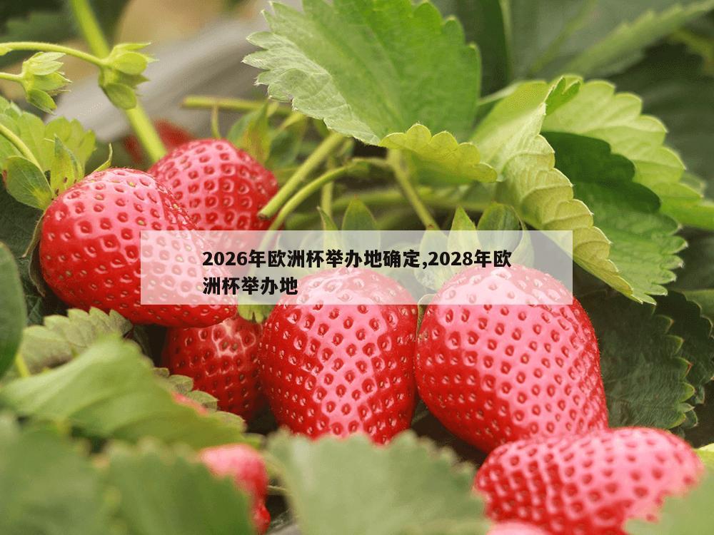 2026年欧洲杯举办地确定,2028年欧洲杯举办地