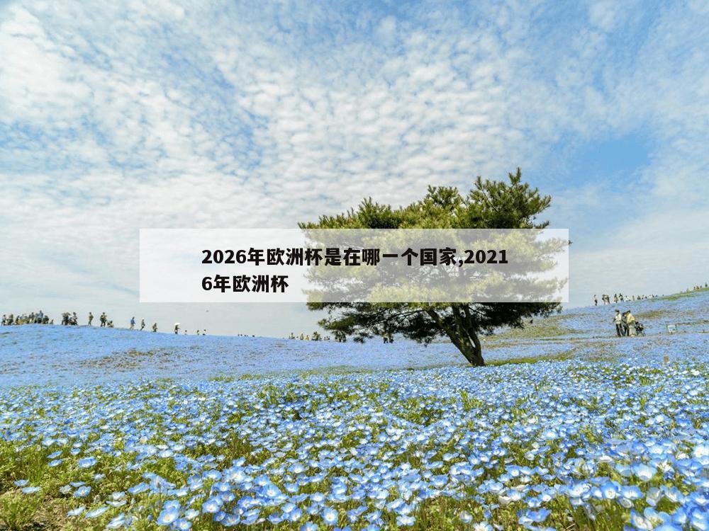 2026年欧洲杯是在哪一个国家,20216年欧洲杯