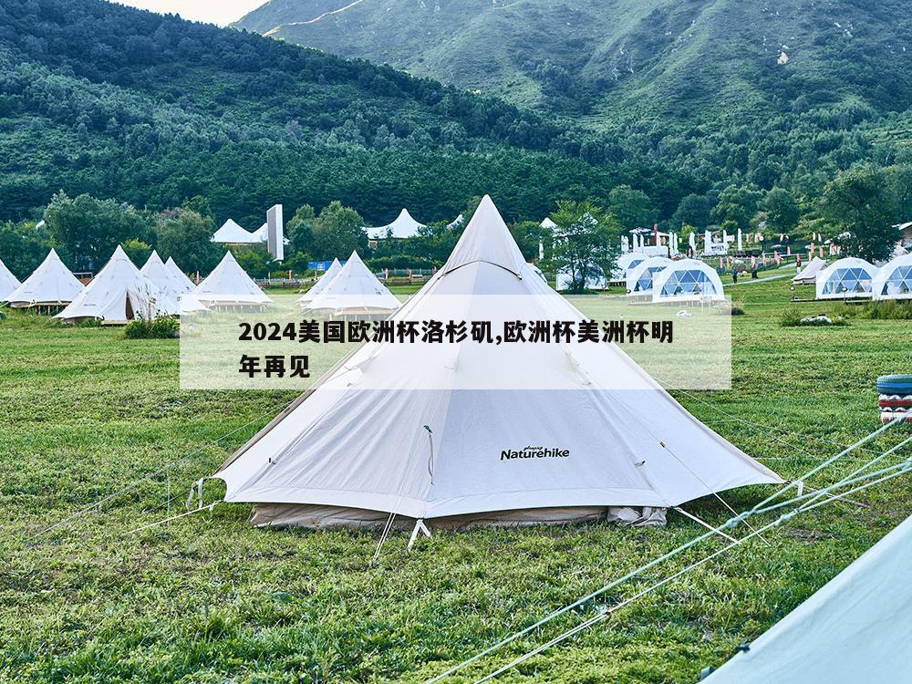 2024美国欧洲杯洛杉矶,欧洲杯美洲杯明年再见